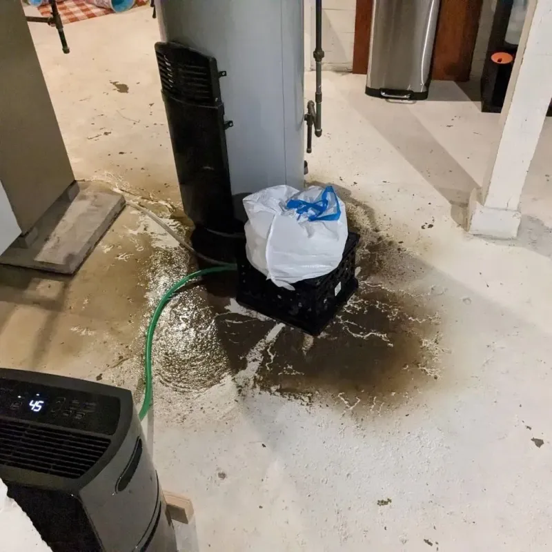 Sewage Backup Cleanup Service in Mount Vernon, MO